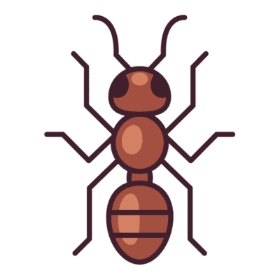 Ant icon